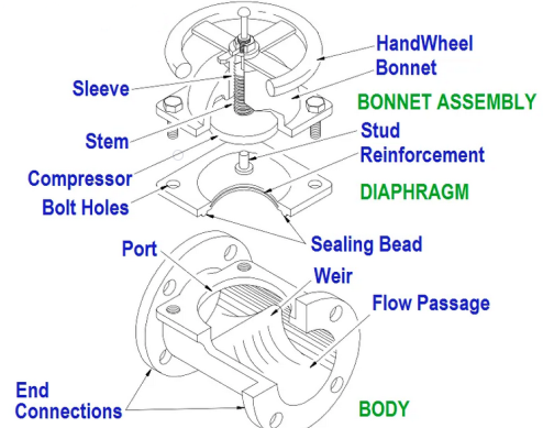 Components of a manual diaphragm valve.